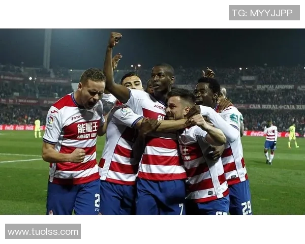 艾切尔斯主场迎战格拉纳达力争三分争夺联赛积分榜优势 艾切尔斯主场迎战格拉纳达力争三分争夺联赛积分榜优势