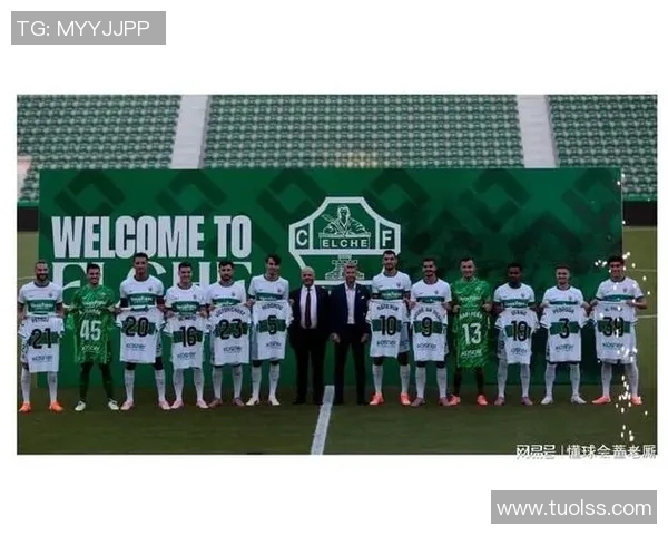 阿拉维斯与埃尔切比赛数据深度分析及战术探讨