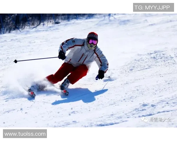 哈尔滨体育学院高山滑雪队热情点着哈尔滨冰雪季