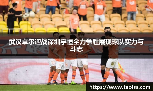 米兰体育